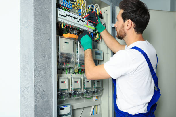 Best Electrical System Inspection  in Dale, IN